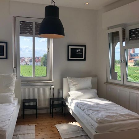 Luxe Apartment Am Rhein Worms Exterior photo
